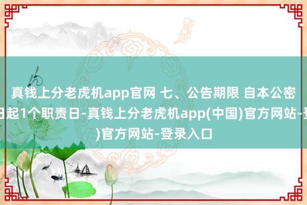 真钱上分老虎机app官网 七、公告期限 自本公密告布之日起1个职责日-真钱上分老虎机app(中国)官方网站-登录入口