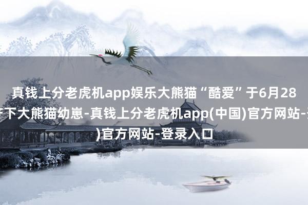 真钱上分老虎机app娱乐大熊猫“酷爱”于6月28日奏凯产下大熊猫幼崽-真钱上分老虎机app(中国)官方网站-登录入口