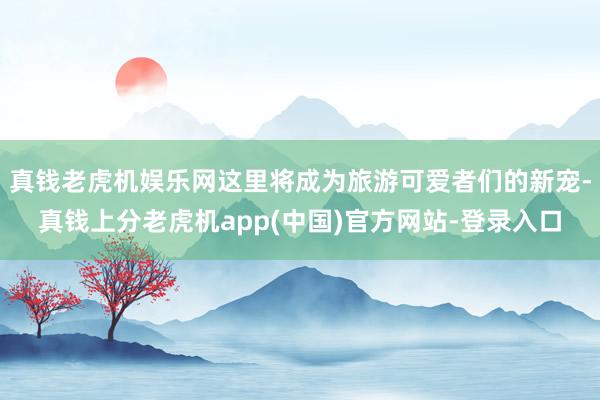 真钱老虎机娱乐网这里将成为旅游可爱者们的新宠-真钱上分老虎机app(中国)官方网站-登录入口